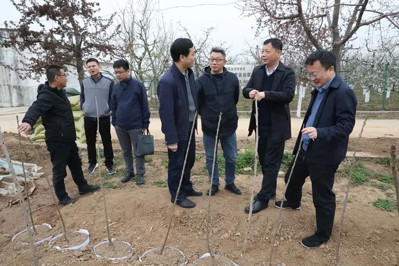 陕西种苗集团副总经理梁彬就公司植物组培有关技术,无